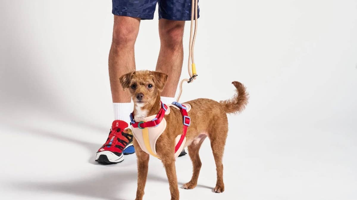 wild-one-hands-free-rope-dog-leash