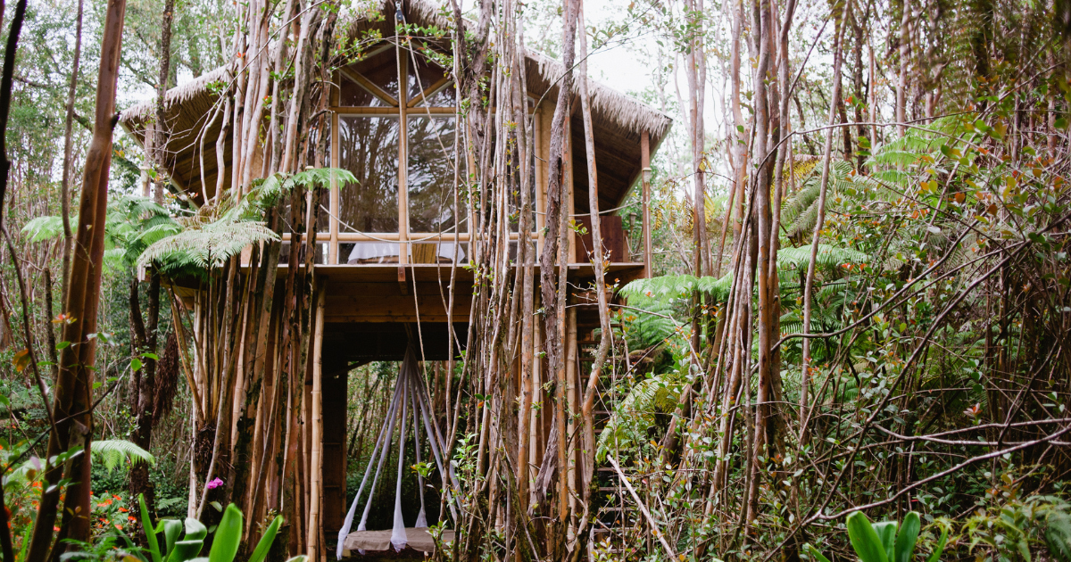 This off-grid treehouse in Hawaii lets you sleep above a rainforest canopy