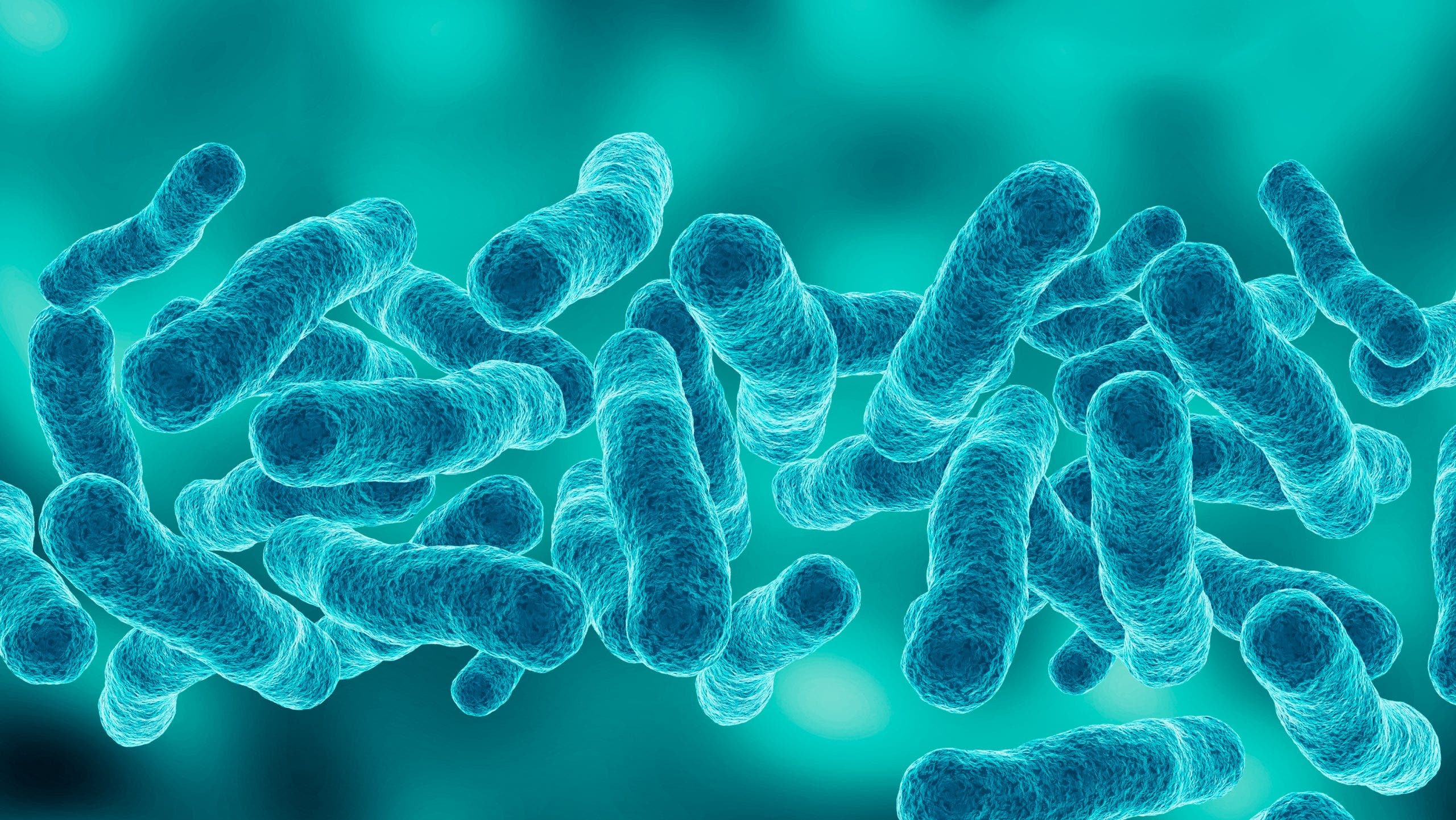 Second death reported in Upper East Side Legionnaires' disease outbreak ...