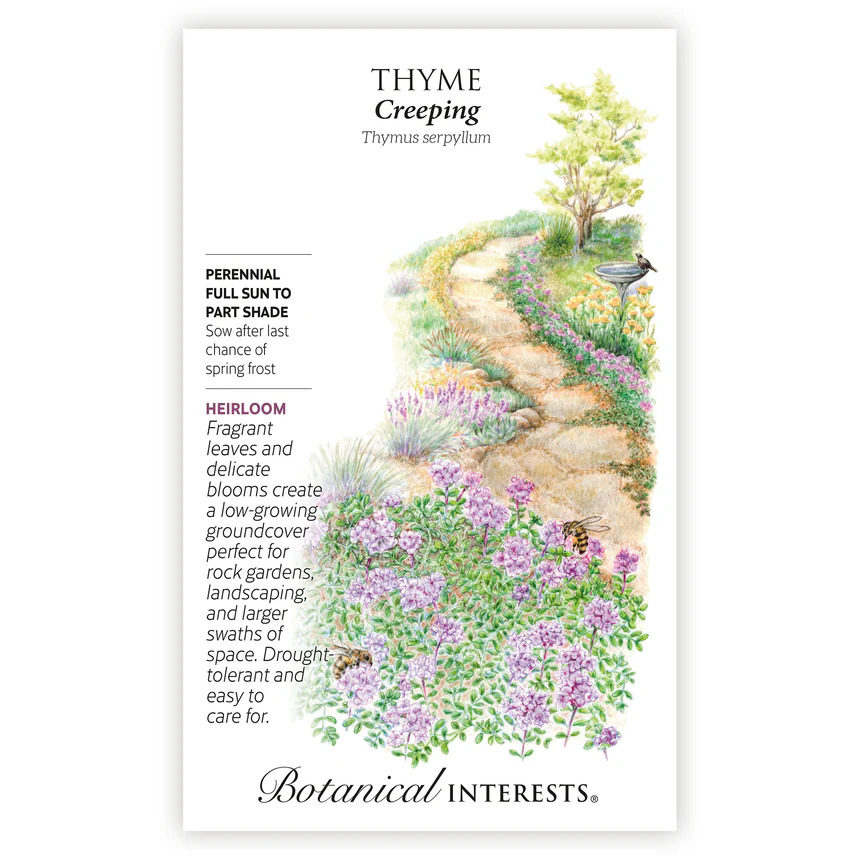 Botanical Interests creeping thyme seeds