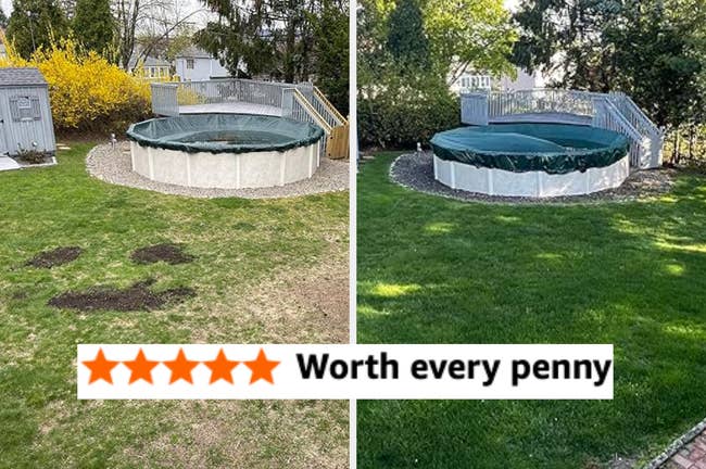 Above-ground pool with cover; yard transformation from patchy grass to lush lawn. Overlay text: