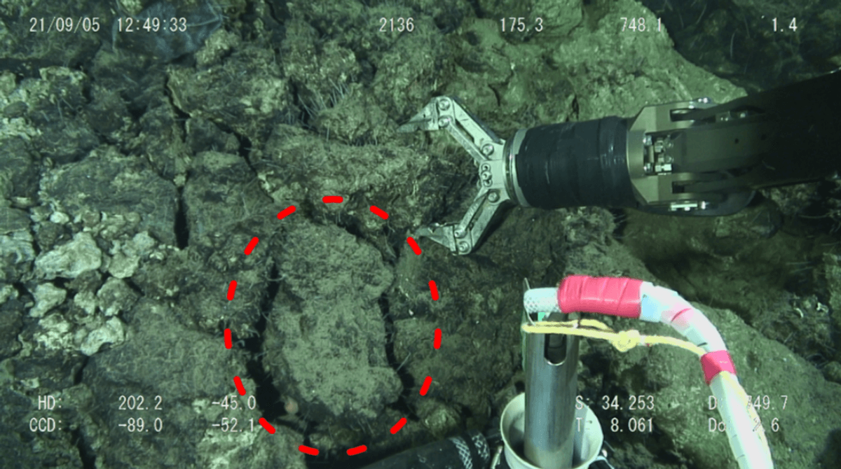 In a previous study, Japanese scientists found evidence of gold nanoparticles in sulfide deposits at the Higashi–Aogashima Knoll Caldera hydrothermal field. - Image credit: S. Okada et al/PLOS One/2025 (CC BY 4.0)