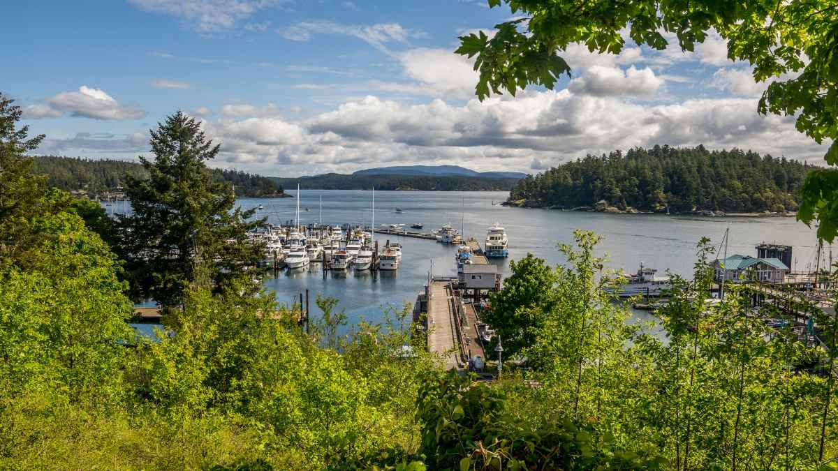 San Juan Island
