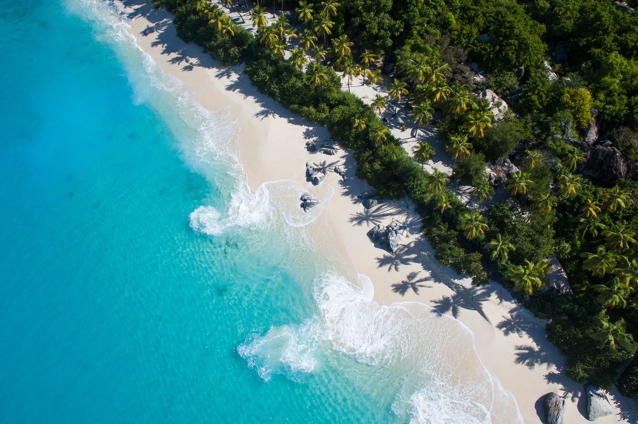 Aerial view of a tropical beach with turquoise water and palm trees along the shoreline