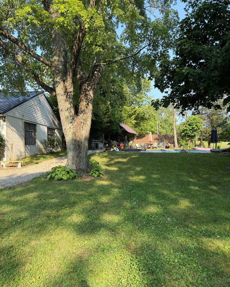 Backyard with trees a lawn a house and a pool in the background