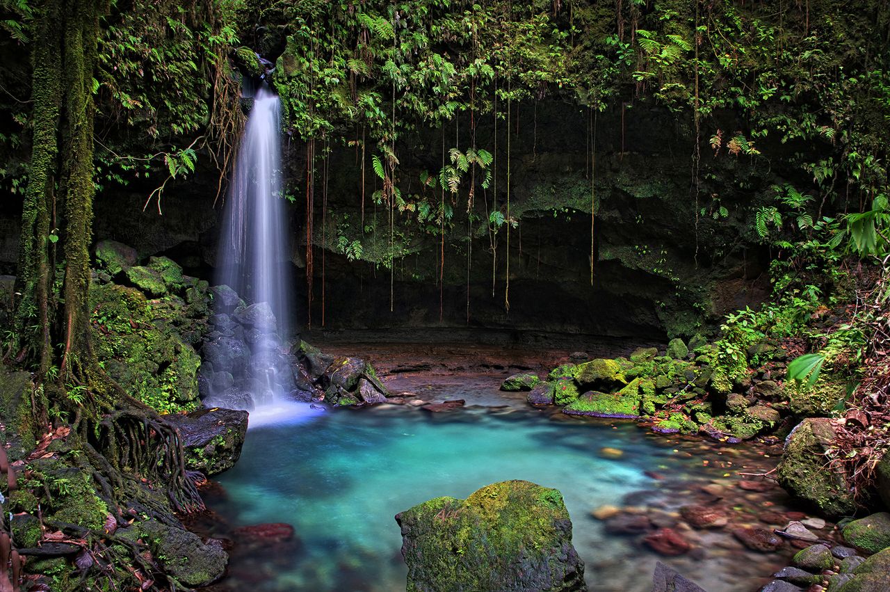 A small waterfall flowing into a clear tranquil pool surrounded by lush foliage and rocks