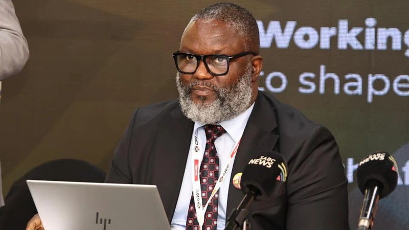 Minister Buthelezi opposes lifestyle audits for government departments
