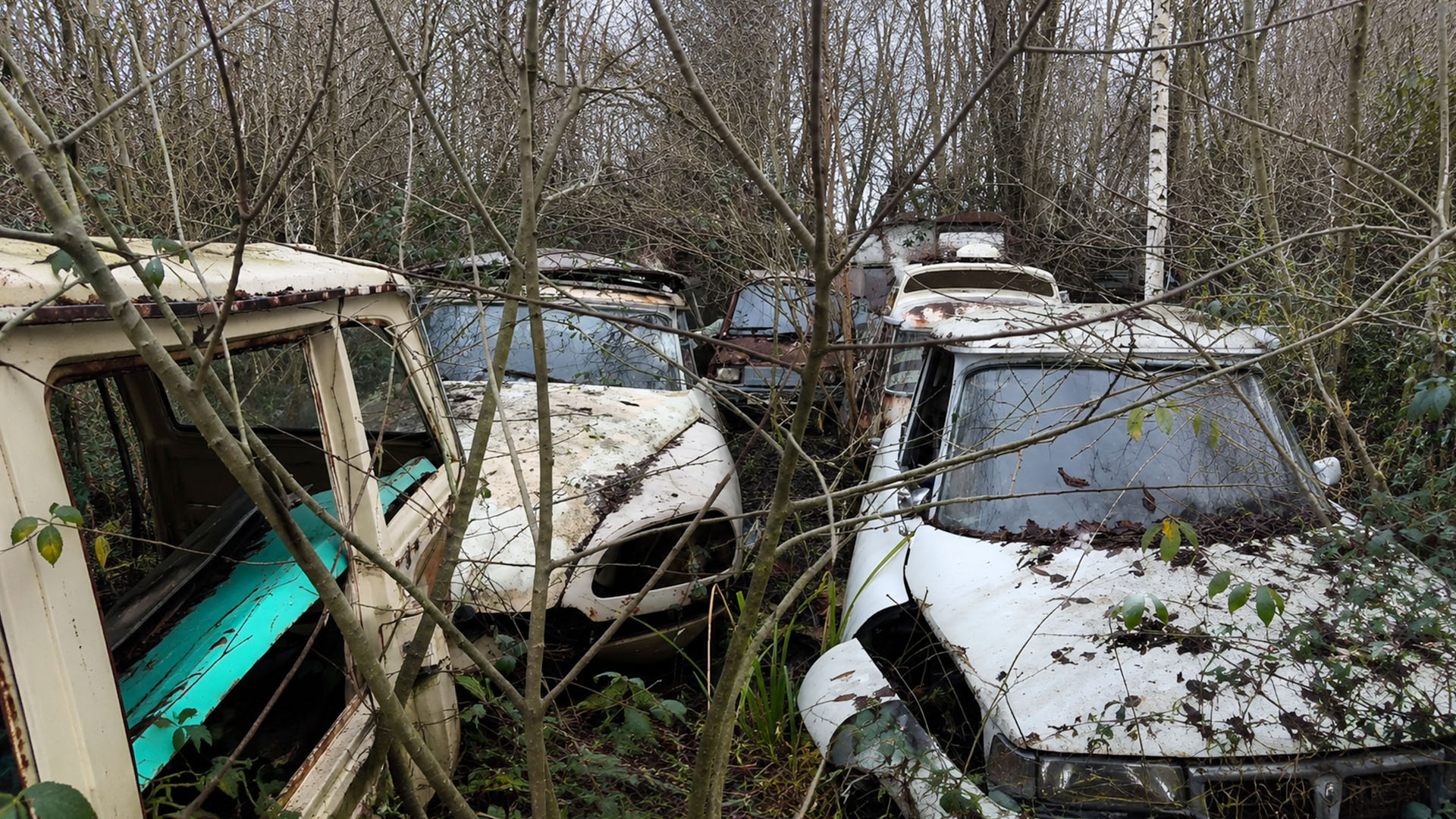 Inside a forgotten yard filled with iconic French classic cars