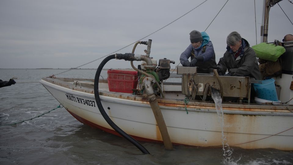 In 2024, the arrival of the blue crab forced Barbara and Giovanna Tesserin to leave fishing behind, bringing a long family tradition to an abrupt halt. - Chiara Negrello