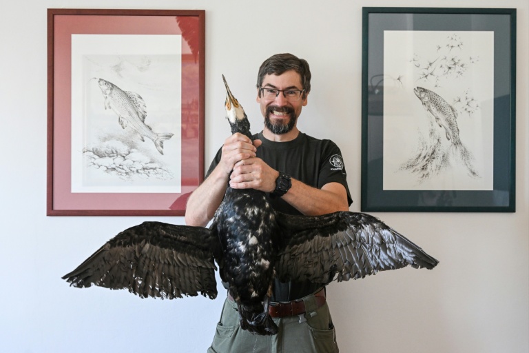 Pavel Vrana, an ichthyologist at the Czech Fishing Union, advocates culling cormorants