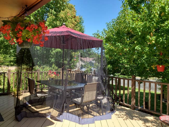 the bug net over a patio umbrella