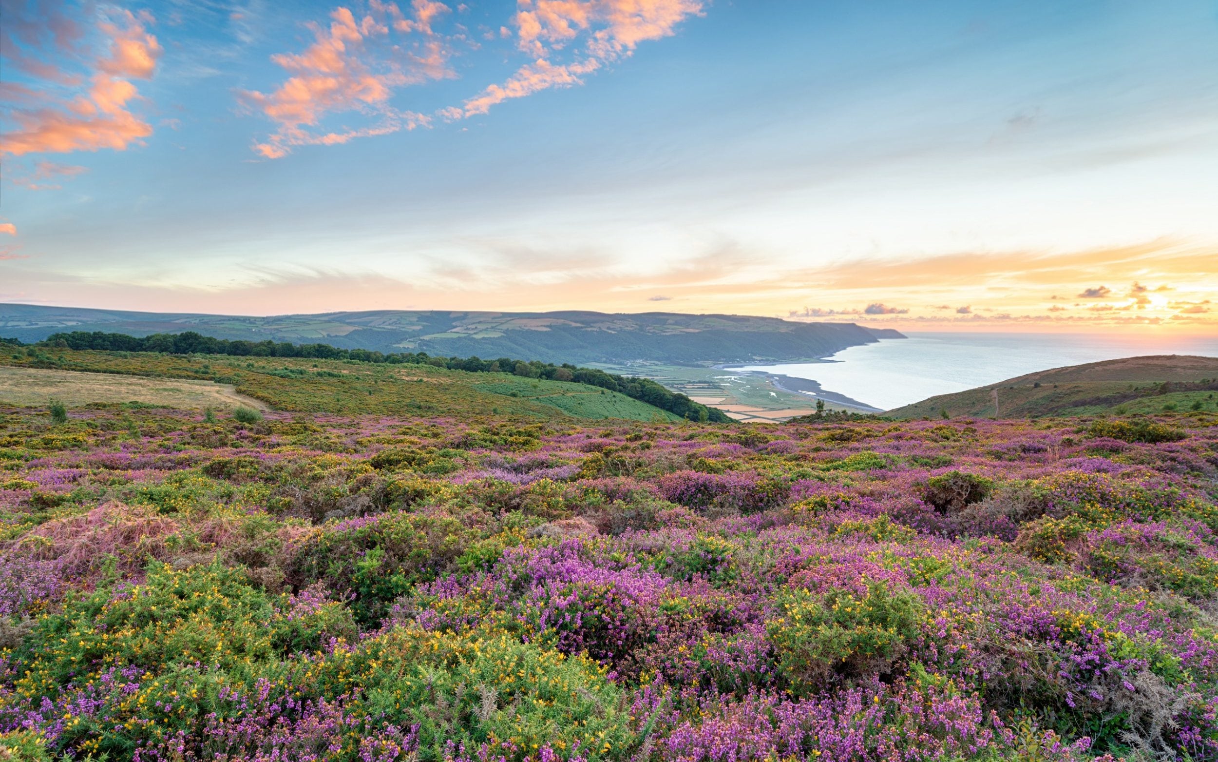 Exmoor