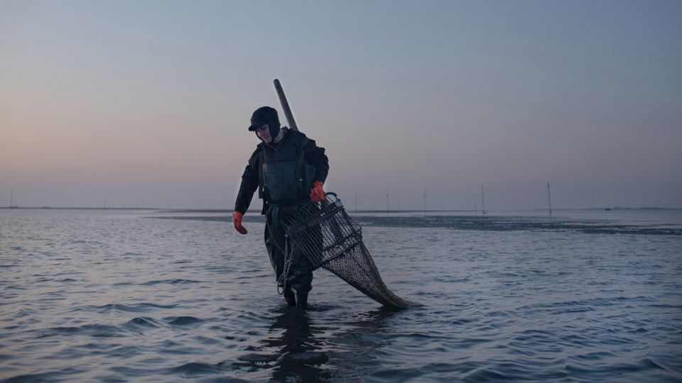 Serenella Binatti began fishing for clams in 1989 using the rasca, a traditional hand-operated tool that limited damage to the lagoon bed. Binatti belongs to one of the last generations to have worked the lagoon this way. - Chiara Negrello