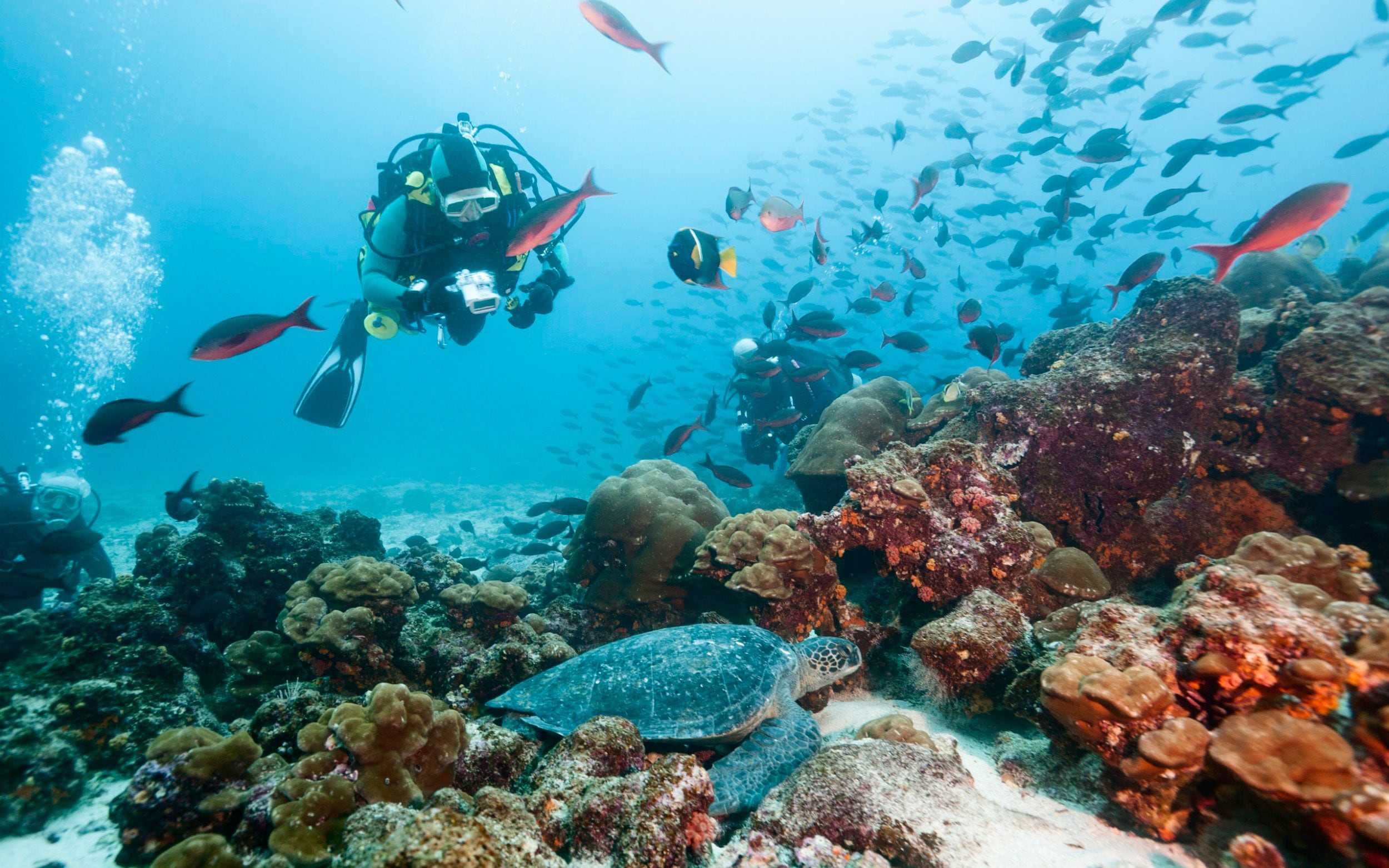 Galápagos Islands