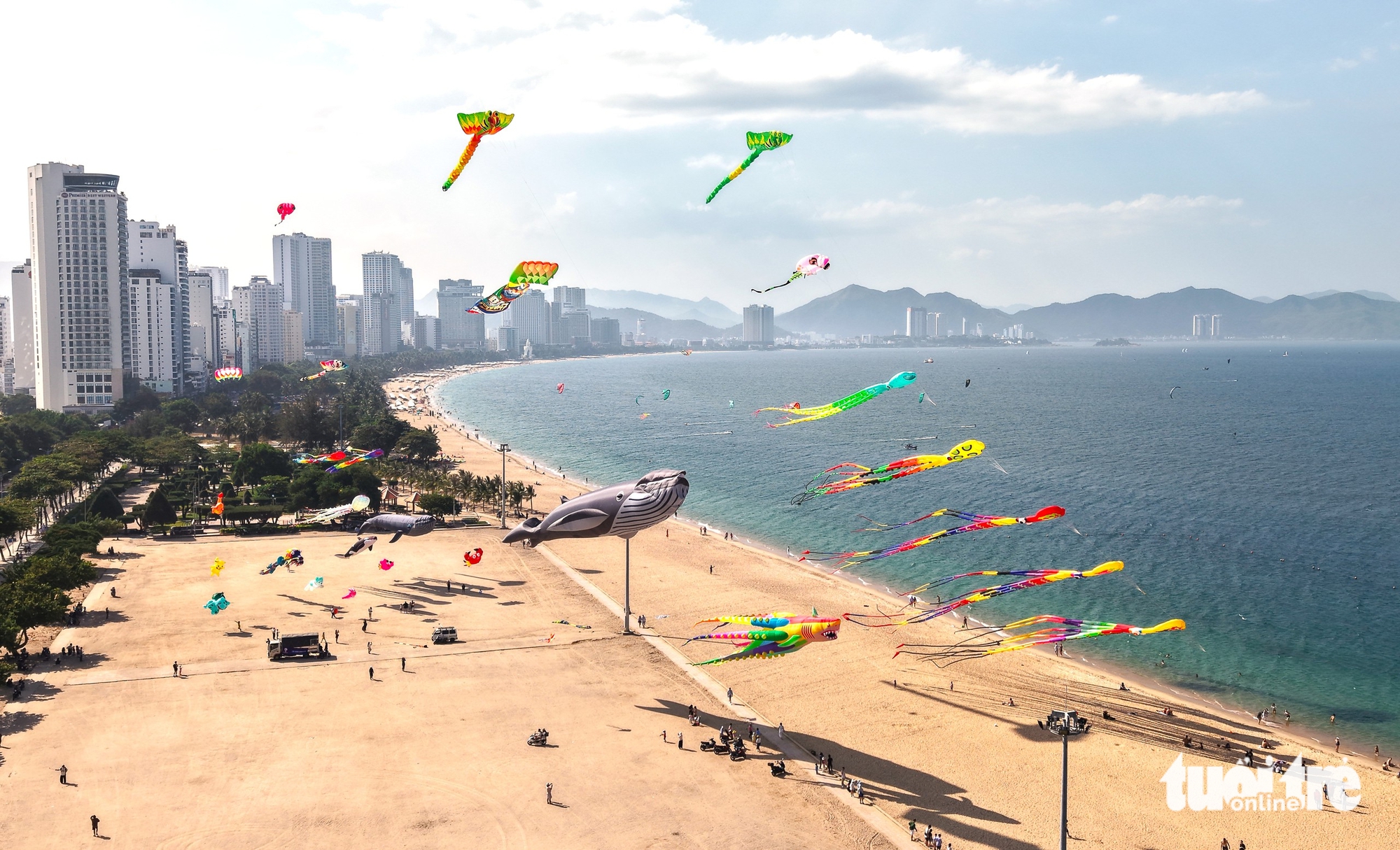 Festival biển 2026: Ngắm diều khổng lồ, vận động viên lướt ván trên vịnh Nha Trang