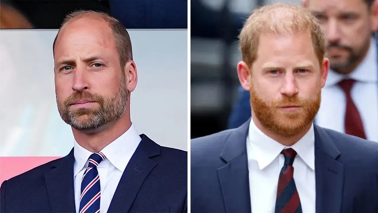 Is Prince Harry Filming a Princess Diana Documentary?