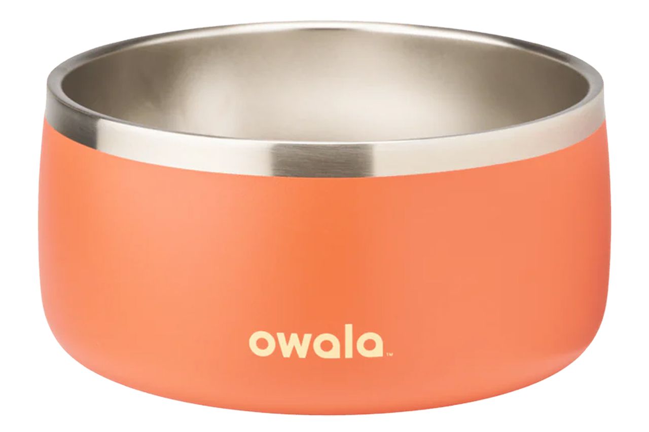 Pet Bowl