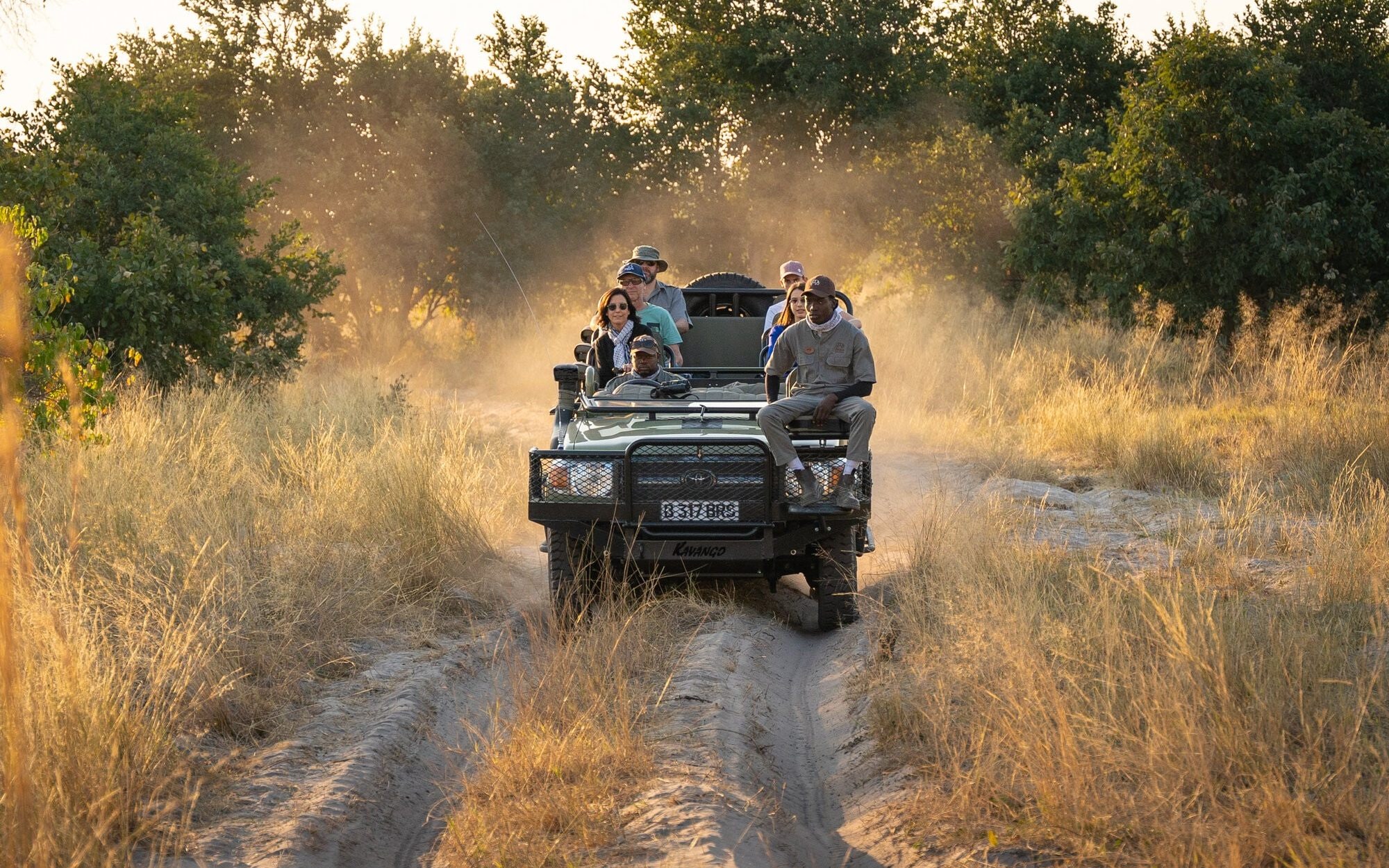 Travel between June and September for prime Okavango wildlife-viewing
