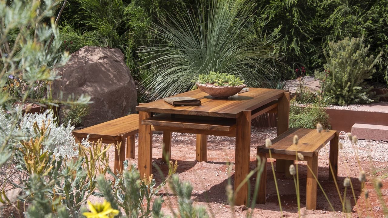 July is a perfect month to take leaf cuttings of these 5 plants