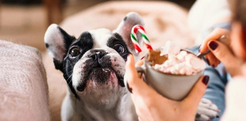 These 10 everyday mistakes can quietly turn into long-term digestive issues 7
