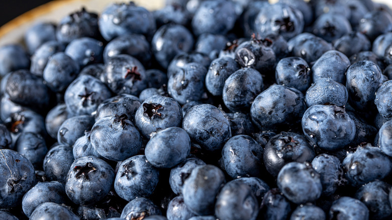 A pile of ripe blueberries with water drops on them