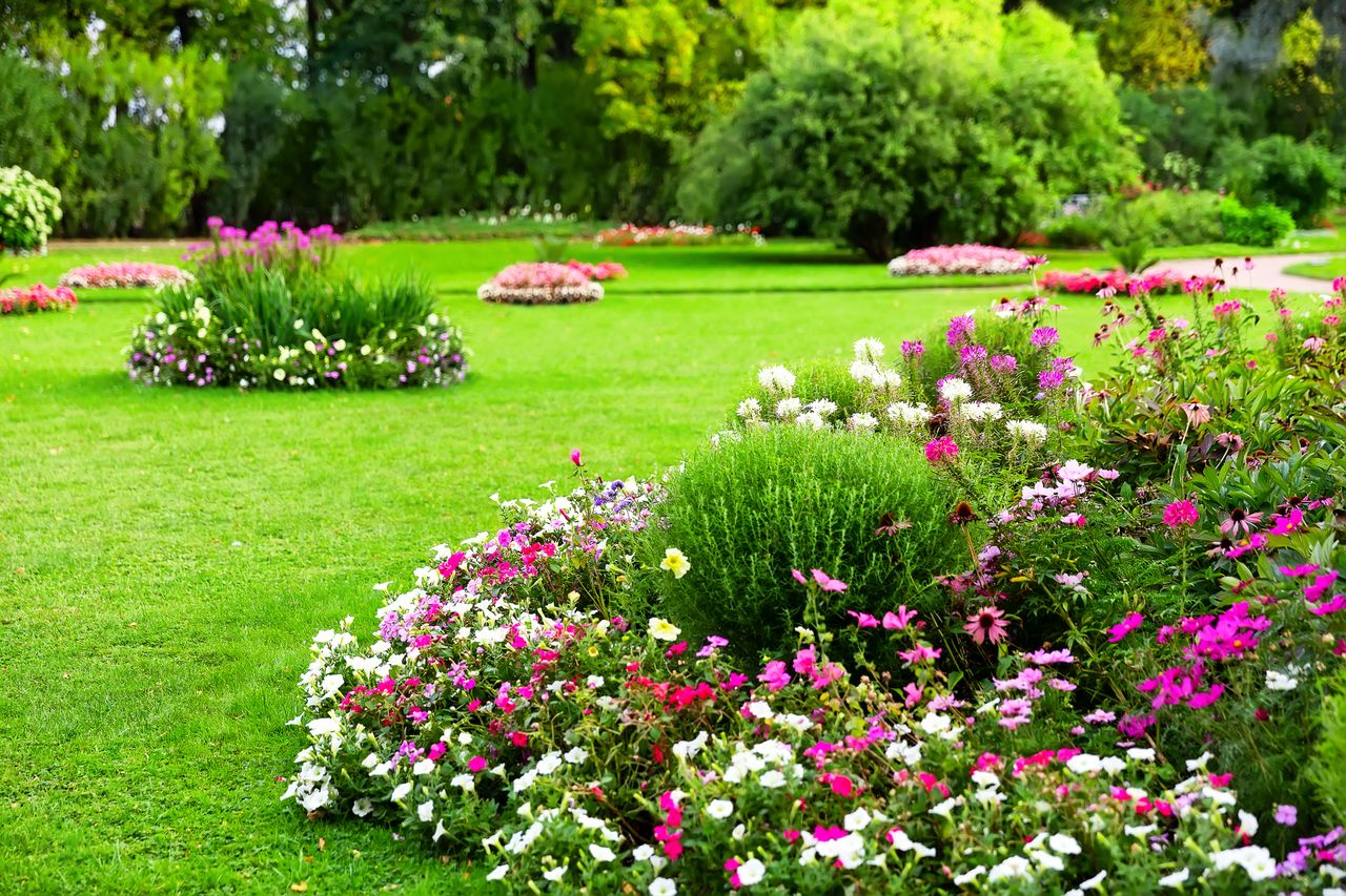 Pink garden