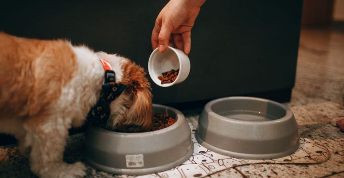 These 10 everyday mistakes can quietly turn into long-term digestive issues