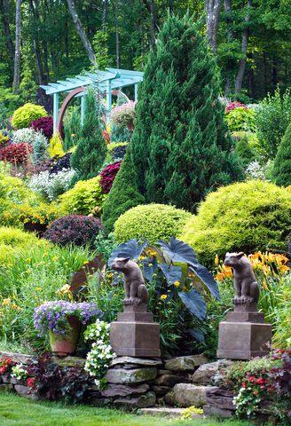 A garden with ornamental evergreen bushes and trees