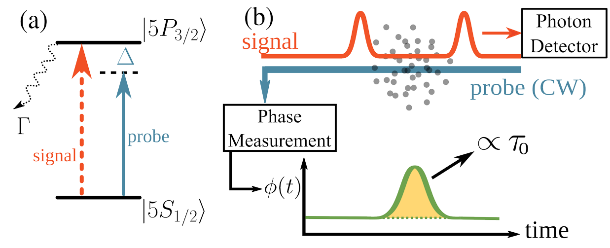 Schematics of experimental setup. (a) Atomic level scheme. (b) Conceptual diagram of the experimental apparatus: a resonant pulsed beam (signal) and off-resonant continuous-wave beam (probe) counter-propagate through a cloud of cold 85Rb atoms, detected at opposite sides of the apparatus. (CREDIT: Physical Review Letters / arXiv)