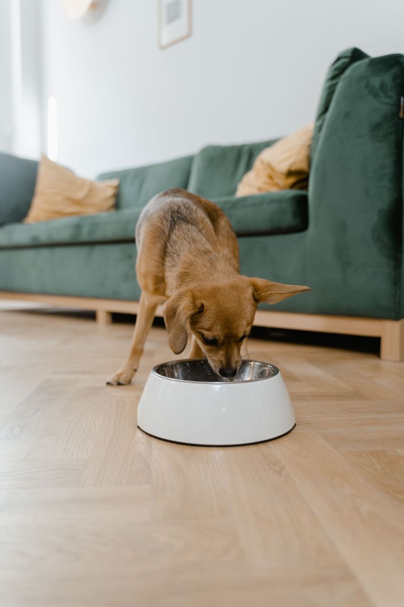 These 10 everyday mistakes can quietly turn into long-term digestive issues 8