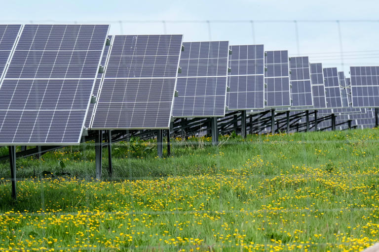 New SolarShare program brings affordable clean energy to Cobb EMC members