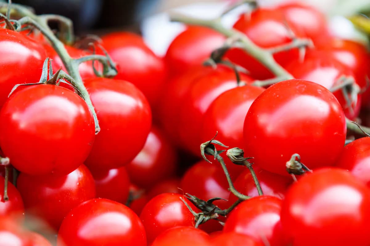 Nutritionists warn: these 10 foods become toxic in the microwave