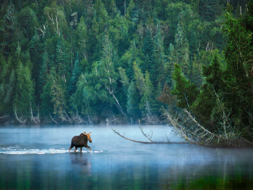 10 Best U.S. Islands You Can Only Reach by Boat