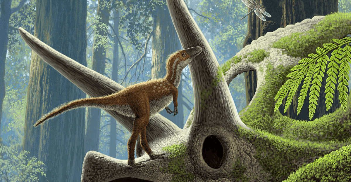 Newly hatched T rex babies came out of the egg ready to chase their own food