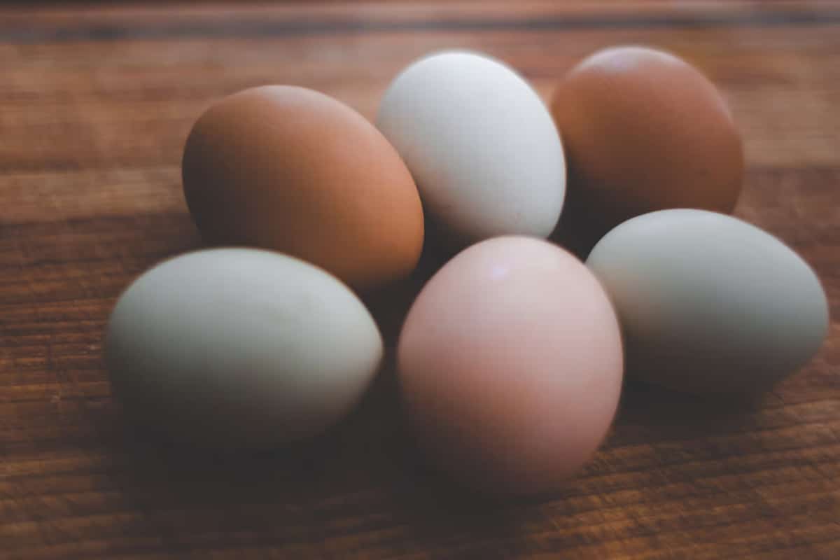 Nutritionists warn: these 10 foods become toxic in the microwave