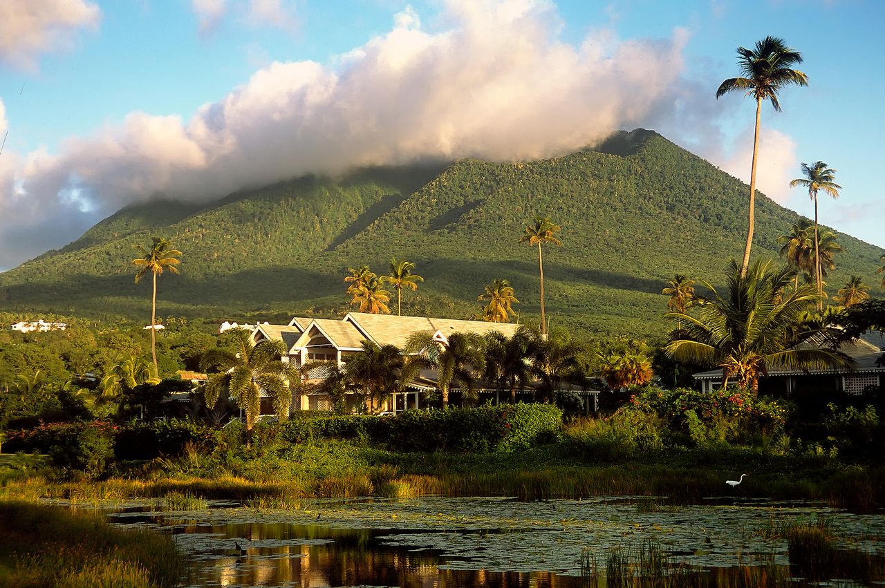 A scenic view of a house surrounded by palm trees with a mountain in the background partially covered by clouds