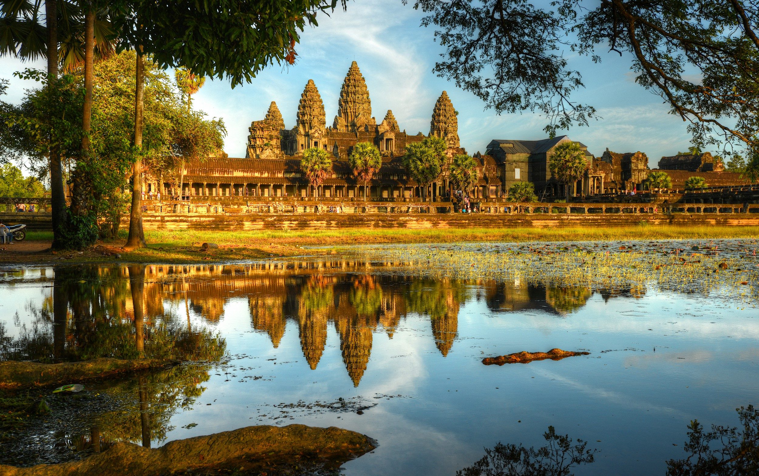 The famous towers of Angkor Wat