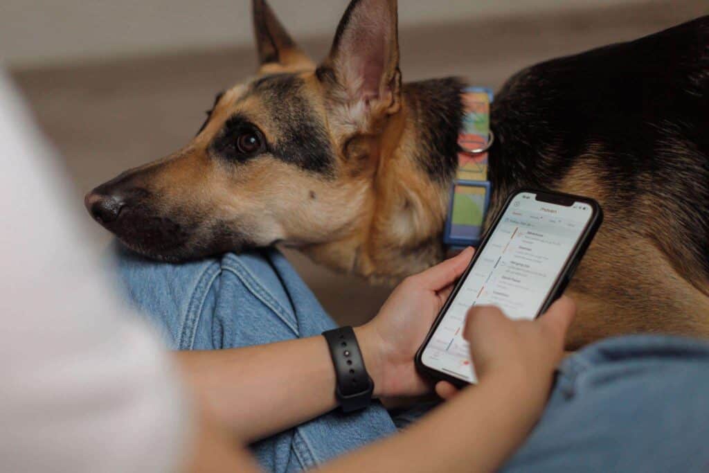Why smart dog parents choose health trackers over GPS collars