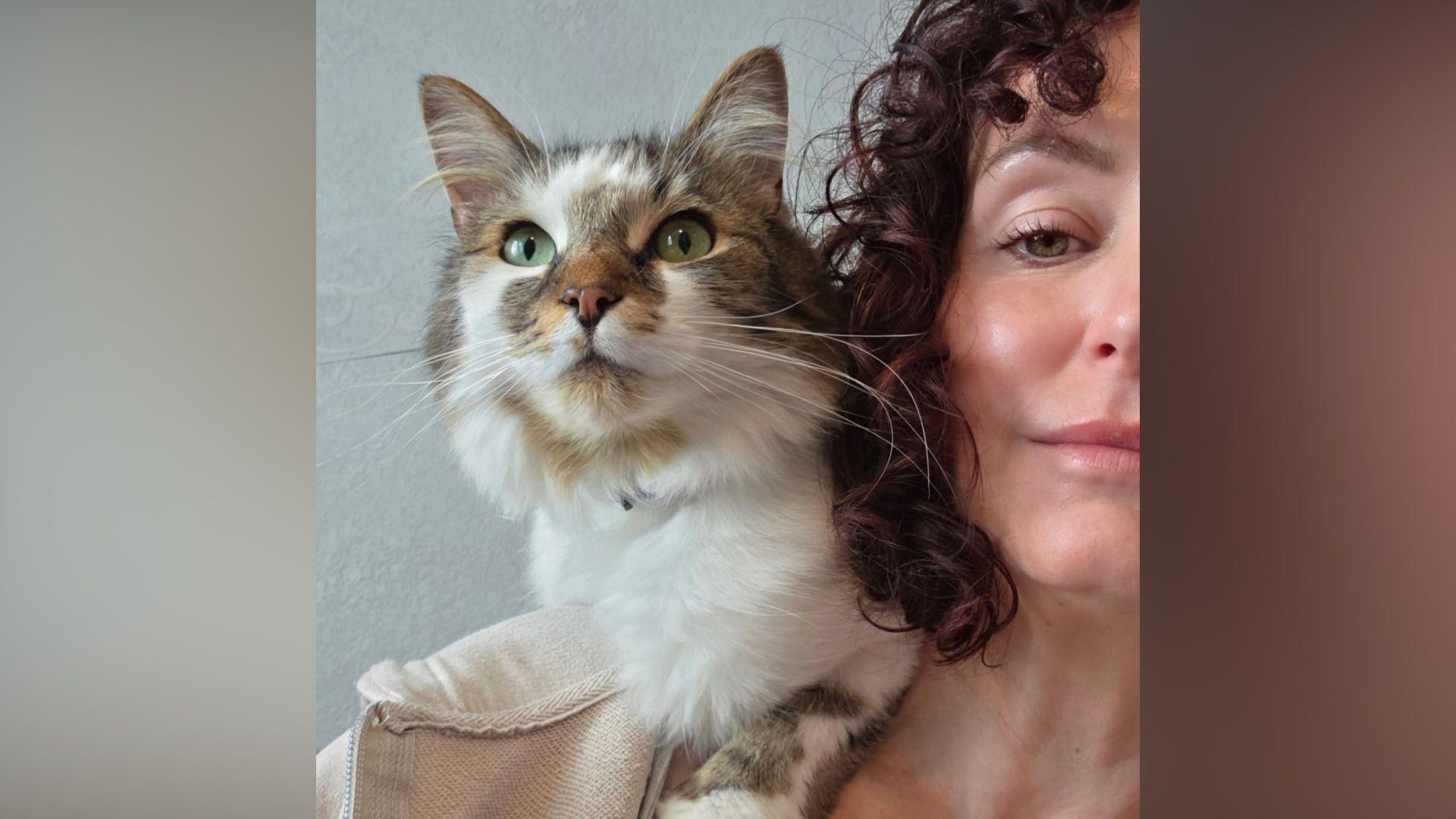 Gina Goldwater's cat Sett has been stealing goggles