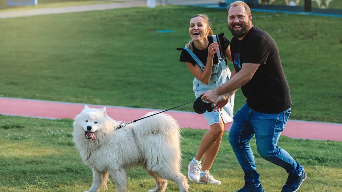 We Asked 3 Vets Why Taylor Swift and Travis Kelce's Dog Breed Is Perfect for Couples—They All Said the Same Thing