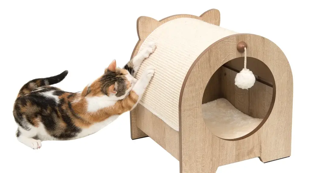 cat-scratcher-costco