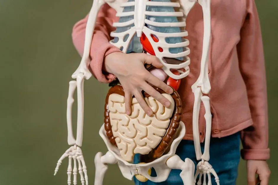 8. The gut and brain are in constant, two-way conversation