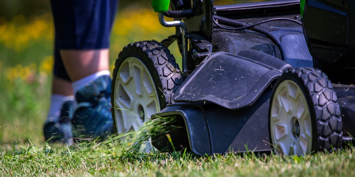 4 Signs It’s Too Hot to Mow Your Lawn