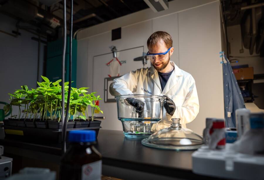 A collection of incredible science facts illustrating the power of precise labeling in research
