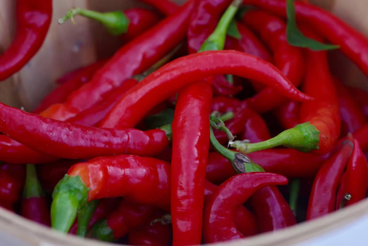 Nutritionists warn: these 10 foods become toxic in the microwave