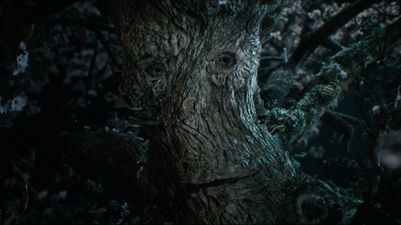 An Entwife in The Rings of Power