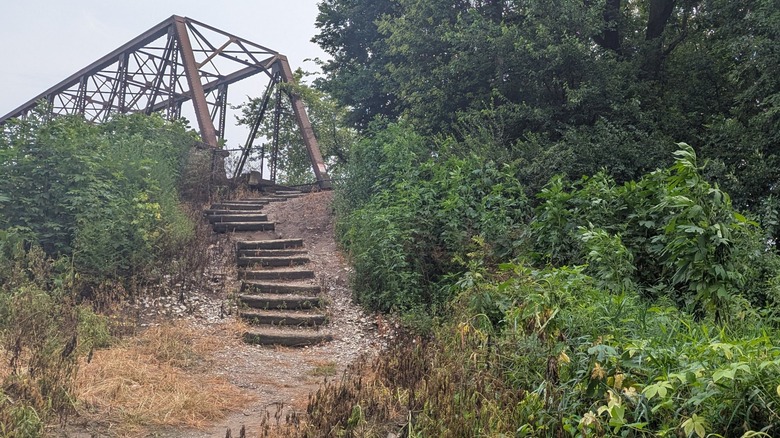Stairs lead up to a bridge amidst thick forested brush on the Wabash Heritage Trail in Indiana