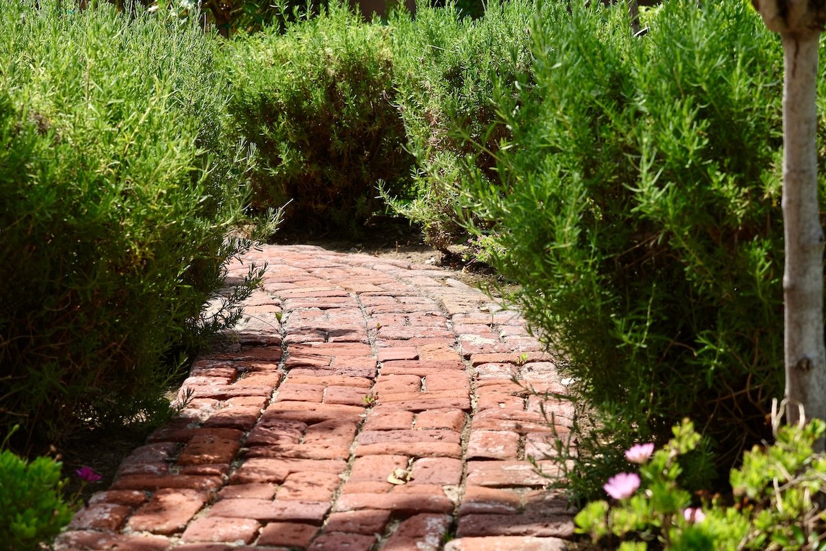 Photo: Heidi Patricola - stock.adobe.com