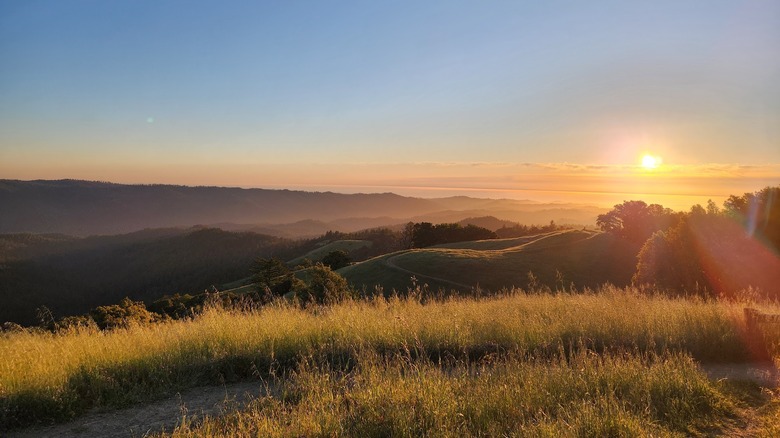 California's hilly nature preserve an hour from San Francisco has a scenic trail through mountains and forests