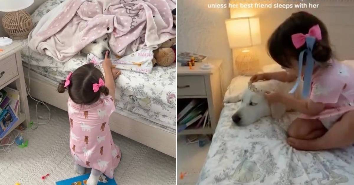 Toddler Refuses To Go To Sleep Without Golden Retriever Like That's All She Needs